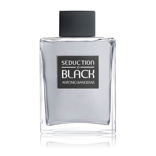 Antonio Banderas Seduction in Black