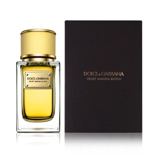 Dolce & Gabbana Velvet Mimosa Bloom