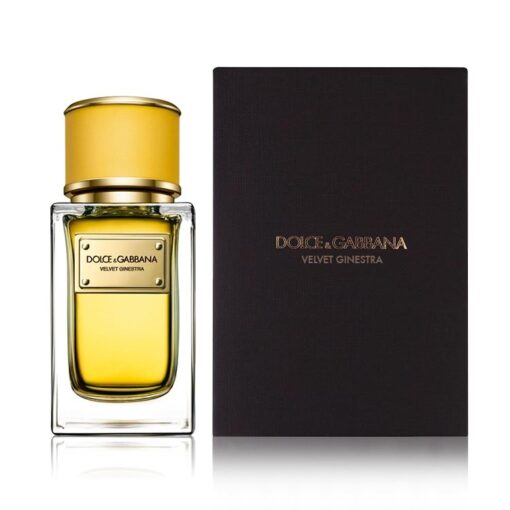 Dolce & Gabbana Velvet Ginestra