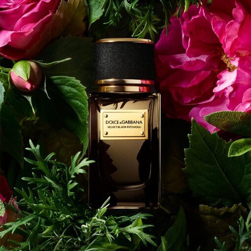 Dolce & Gabbana Velvet Black Patchouli EDP